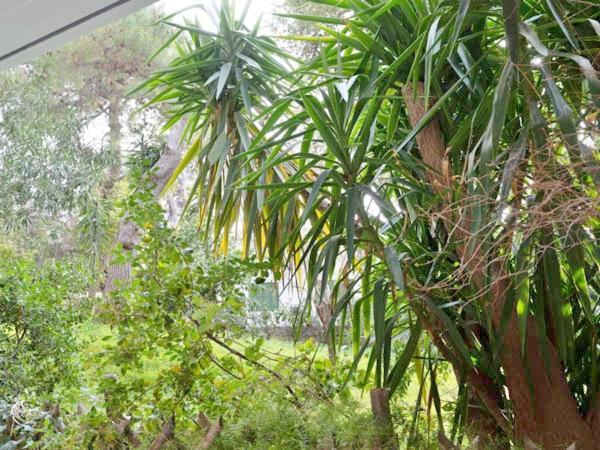 Vouliagmeni'S Secret Garden Near The Sea Apartment เอเธนส์ ภายนอก รูปภาพ