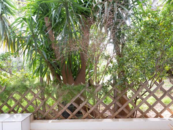 Vouliagmeni'S Secret Garden Near The Sea Apartment เอเธนส์ ภายนอก รูปภาพ
